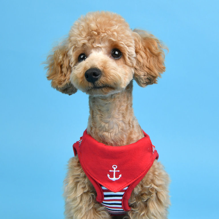 Puppia Harnais Puppia Summer B Seaman Rouge