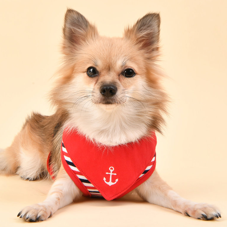 Puppia Harnais Puppia Summer A Seaman Rouge