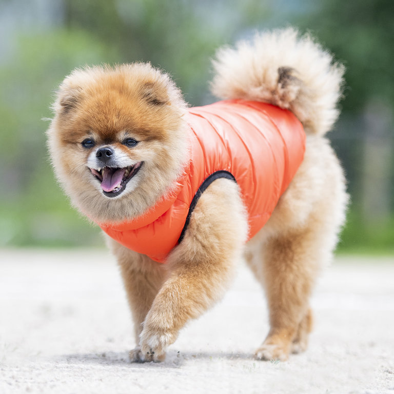 Puppia Manteau Puppia Ultralight Orange