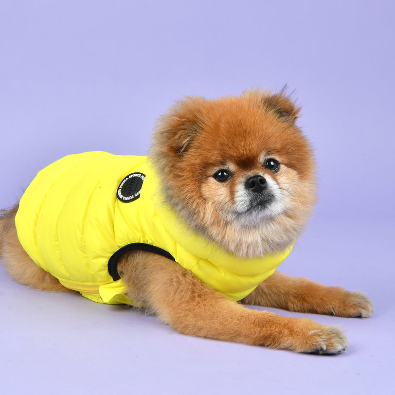 Puppia Manteau Puppia Ultralight Jaune