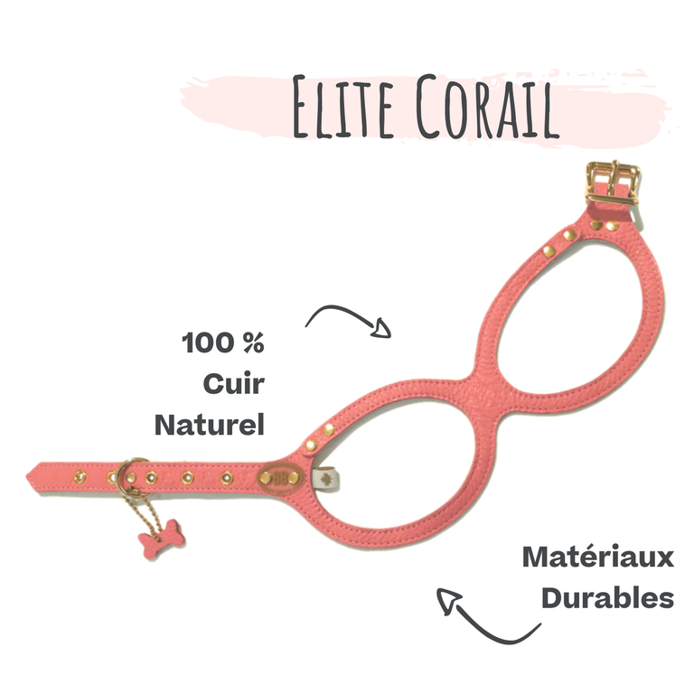 Harnais Buddy Belts Elite Corail