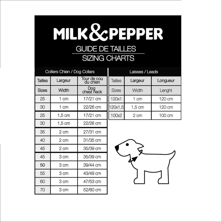 Milk & Pepper Collier Milk & Pepper Stardust Champagne