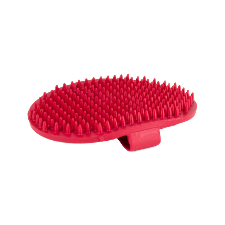 Brosse Gomme de Toilettage