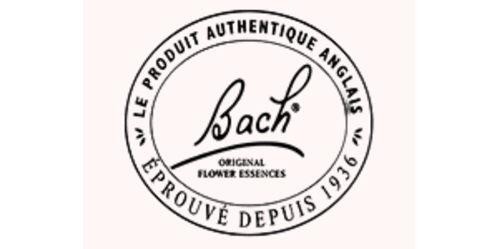 Bach Bach