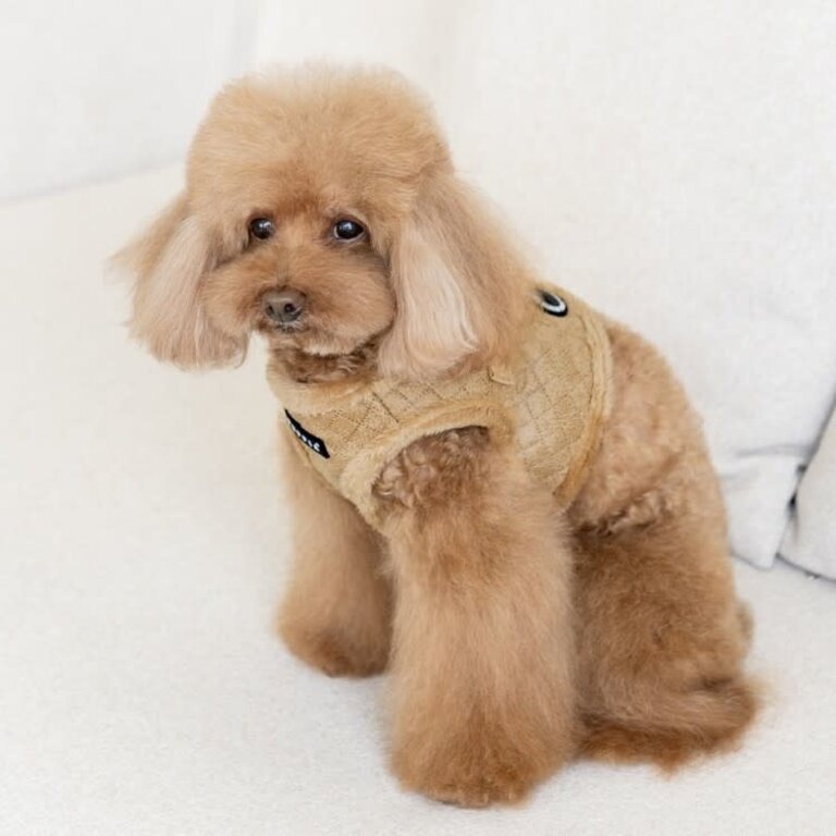 Puppia Harnais Puppia Winter Douglas  B Beige
