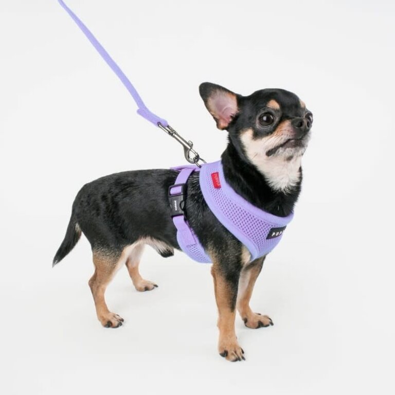 Puppia Harnais Puppia Soft Harness A Violet