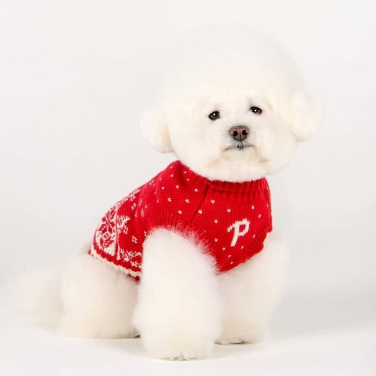 Puppia Pull Puppia Tricot Nevis Rouge