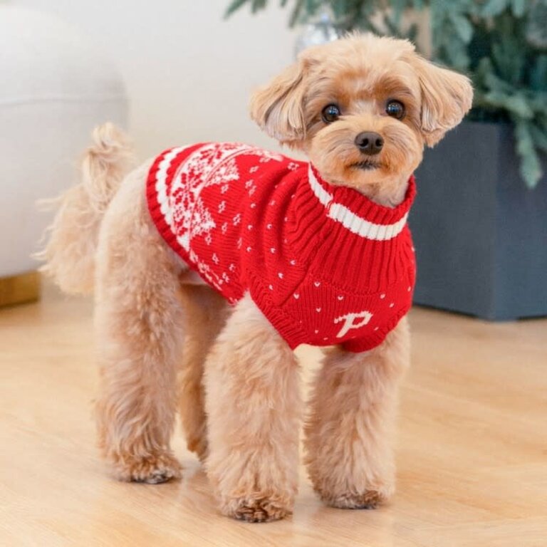 Puppia Pull Puppia Tricot Nevis Rouge