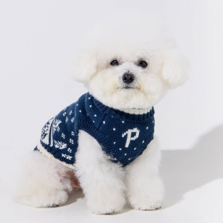 Puppia Pull Puppia Tricot Nevis Bleu Marine