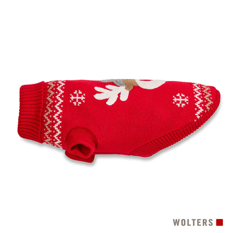 Pull en Tricot Wolters Renne