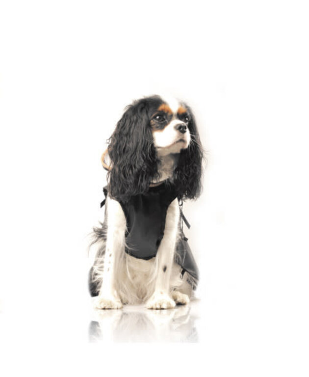 Milk & Pepper Cape Imperméable Hamilton Milk and Pepper Noir