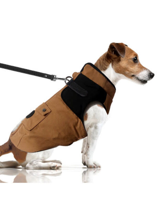 Milk & Pepper Imperméable Harnais Tarka Milk and Pepper