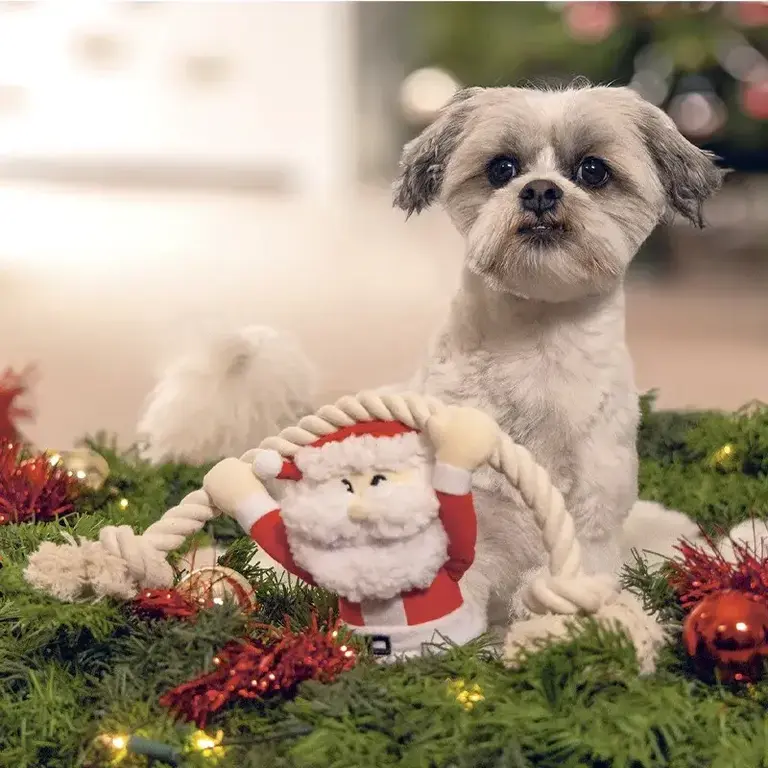 DistriDog Peluche Père Noël avec Corde