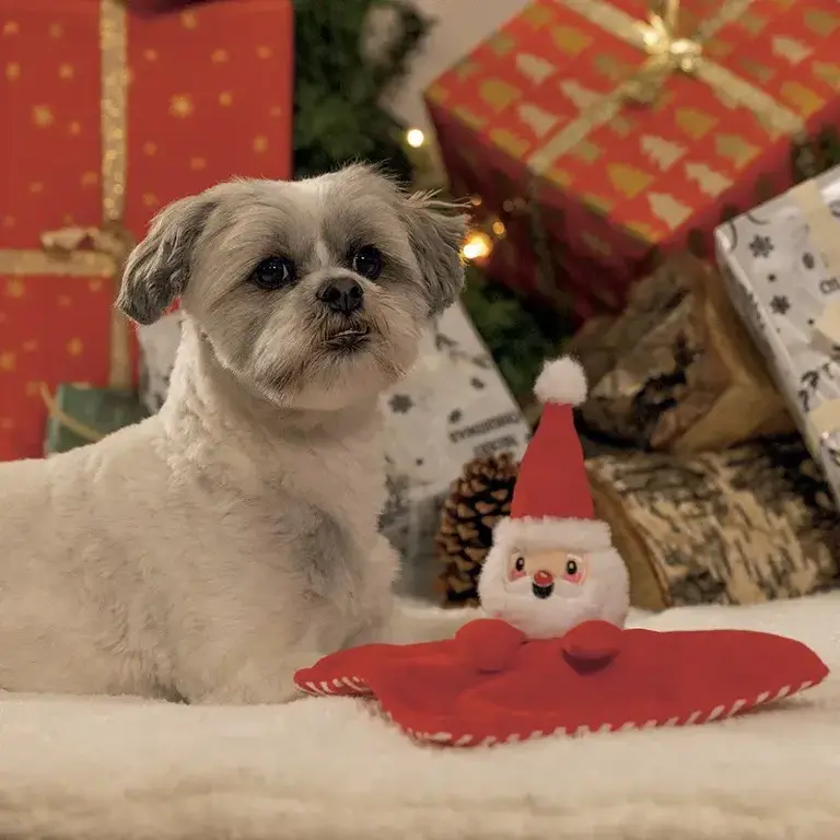 BeezTees Peluche Doudou Père Noël