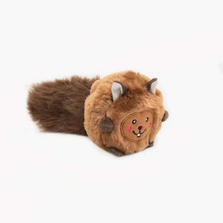 ZippyPaws Jouet Peluche Ecureuil
