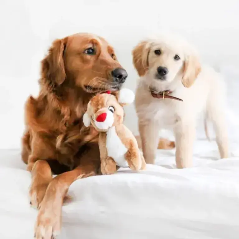 ZippyPaws Jouet Peluche Holiday Deluxe Renne