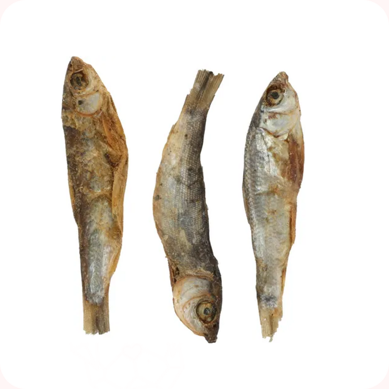 Flamingo Friandise Nature Sprat