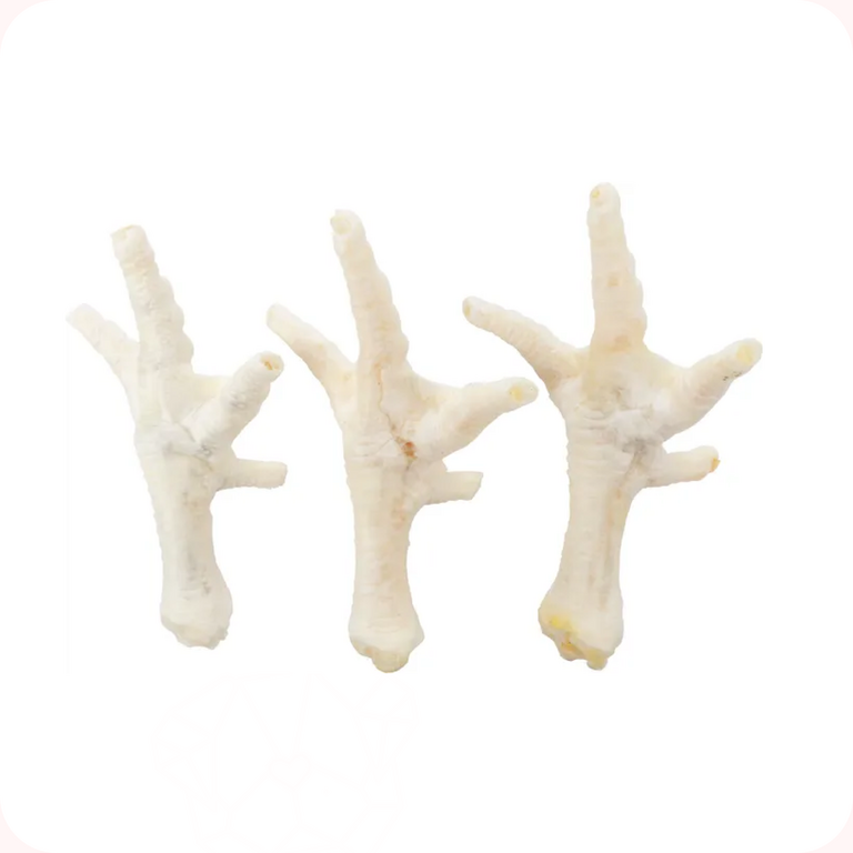 Flamingo Friandise Nature Patte Poulet