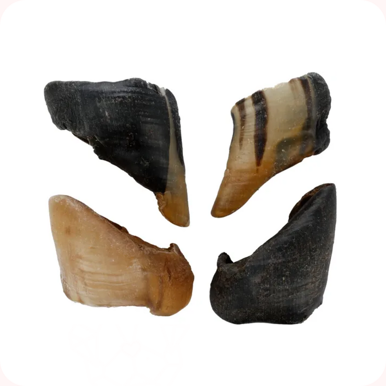 Flamingo Friandise Nature Sabot Mouton