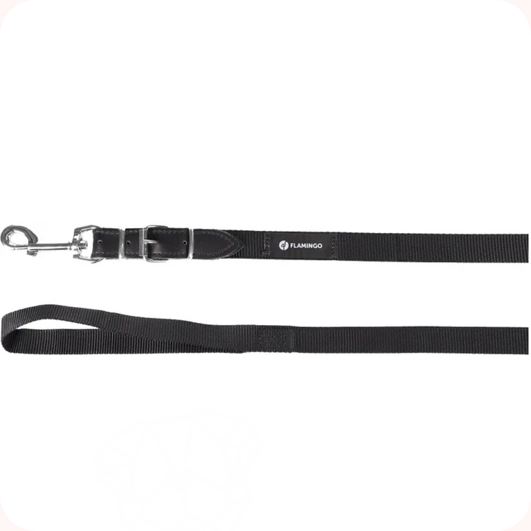 Flamingo Laisse d'Entrainement et à Pister Noire 10m