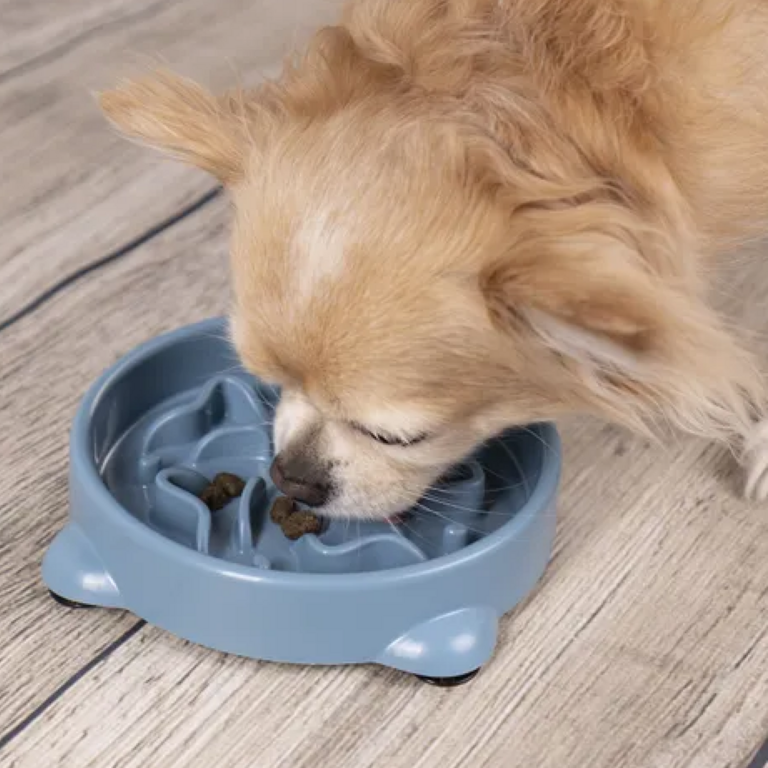 Flamingo Gamelle Anti-Glouton Beno Rond Pétrol