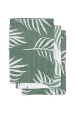 Jollein Hydrofiel Washandje Nature - Ash Green - 3 Stuks