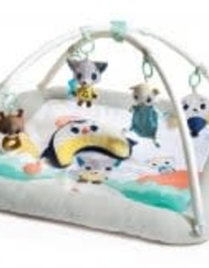 Tiny Love Polar Wonders™ Plush Gymini®