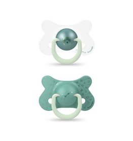 Suavinex Basic - Night & Day Soother - Sili. - Reversible - +18M - Bear Green