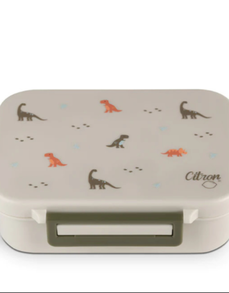 Citron Tritan Lunchbox Dino Green