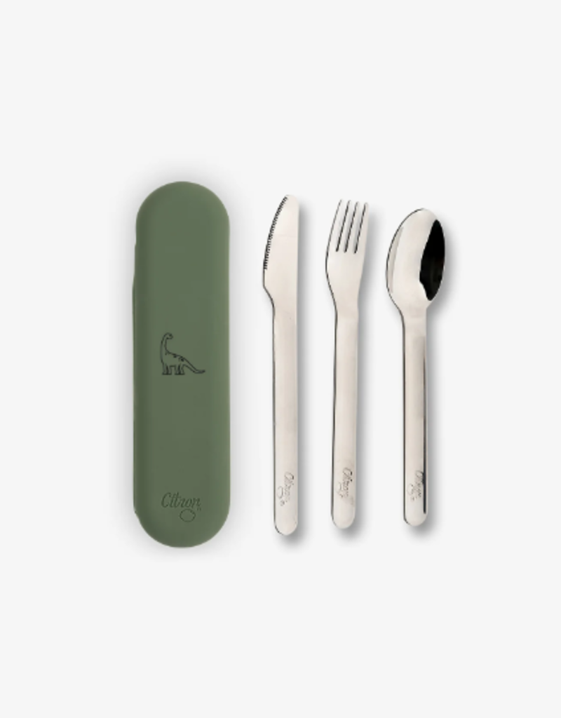 Citron Stainless Steel Cuttlery Set Dino Green With Case