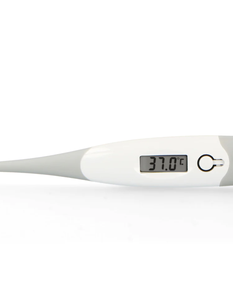 Alecto Baby BC-19GS - Digitale thermometer, grijs
