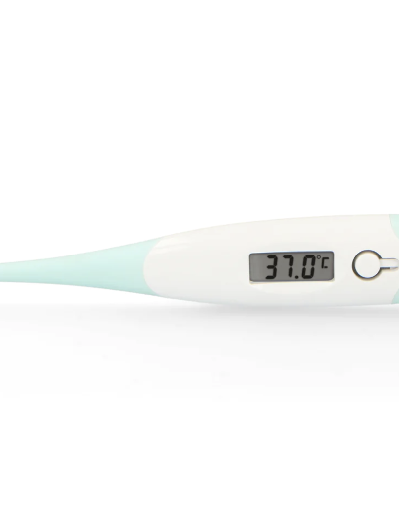 Alecto Baby BC-19GN - Digitale thermometer, groen
