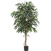 Kunstplant Longifolia Royaal 180 cm