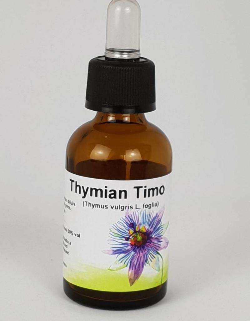 Timo - Thymus vulgaris