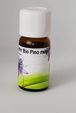 Bio Pino mugo Pinus mugo (Alto Adige)