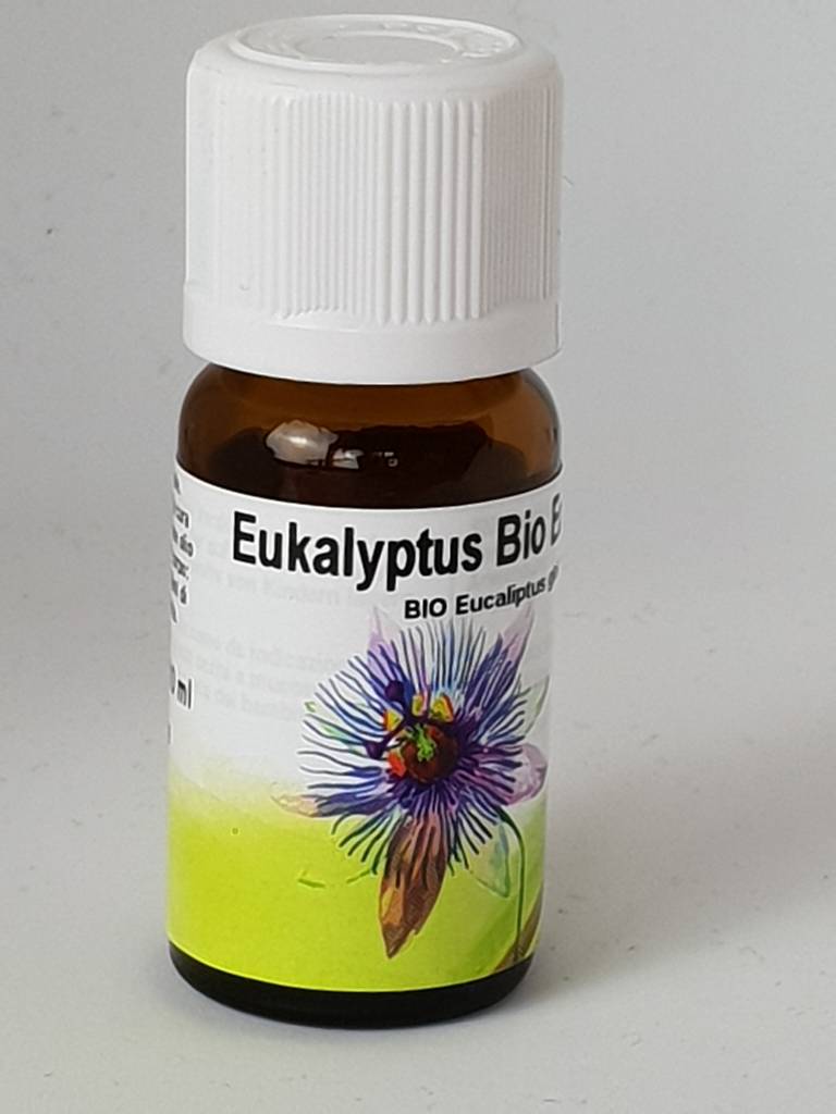 Bio Eukalyptus - Eucaliptus globulus - Bio des Gstrein Patrick