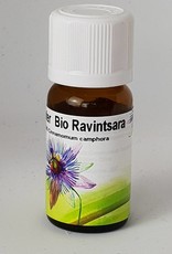 Bio Ravintsara - Cinnamomum camphora
