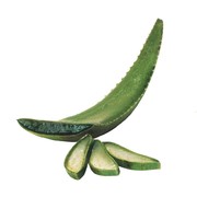 Santaverde Biologische Aloe Vera Age Protect Serum