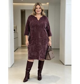 Ophilia Yara 26W  Embroderd stretch velvet plum