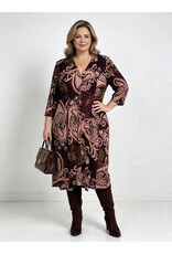 Ivy  26W  jersey dessin paisley plum