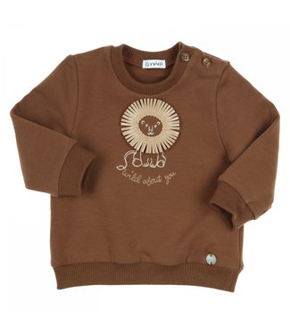 Gymp Sweater Carbondoux Wild About You Brown