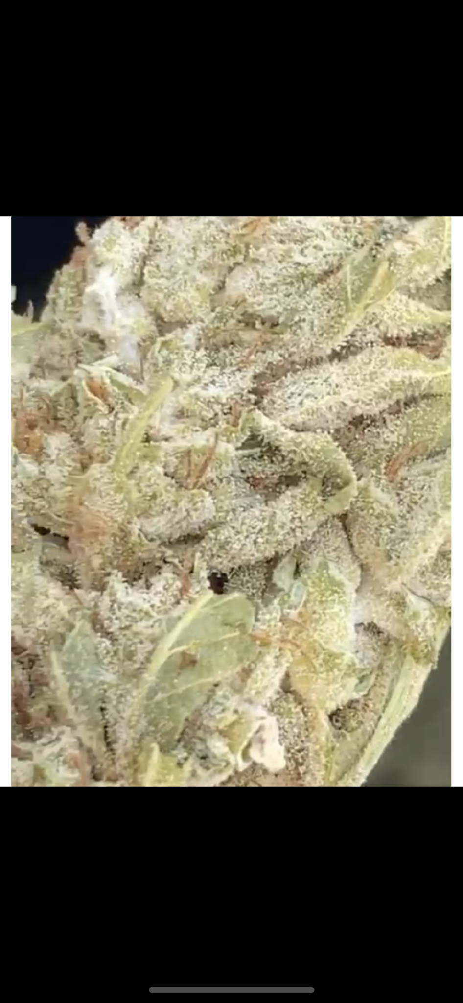 WHITE CBG_Flowers 0.12%THC 12%CBG (Glashouse)