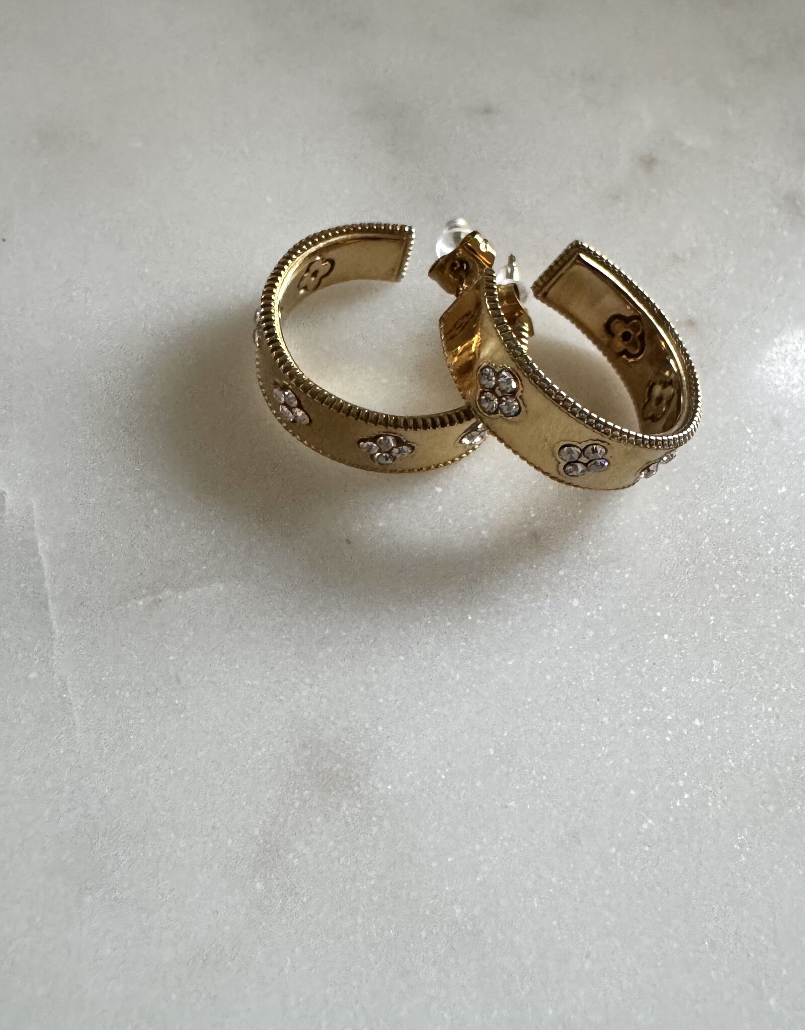 Oorbel Ringen Met Klavers