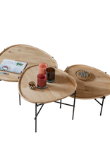 PASSE PARTOUT  AMAZONE COFFEE TABLE