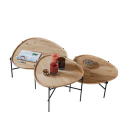 PASSE PARTOUT  AMAZONE COFFEE TABLE