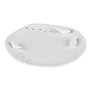 RÄDER - Assiette en porcelaine motif oiseau S