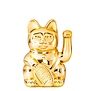 DONKEY - Lucky Cat Gold Shiny