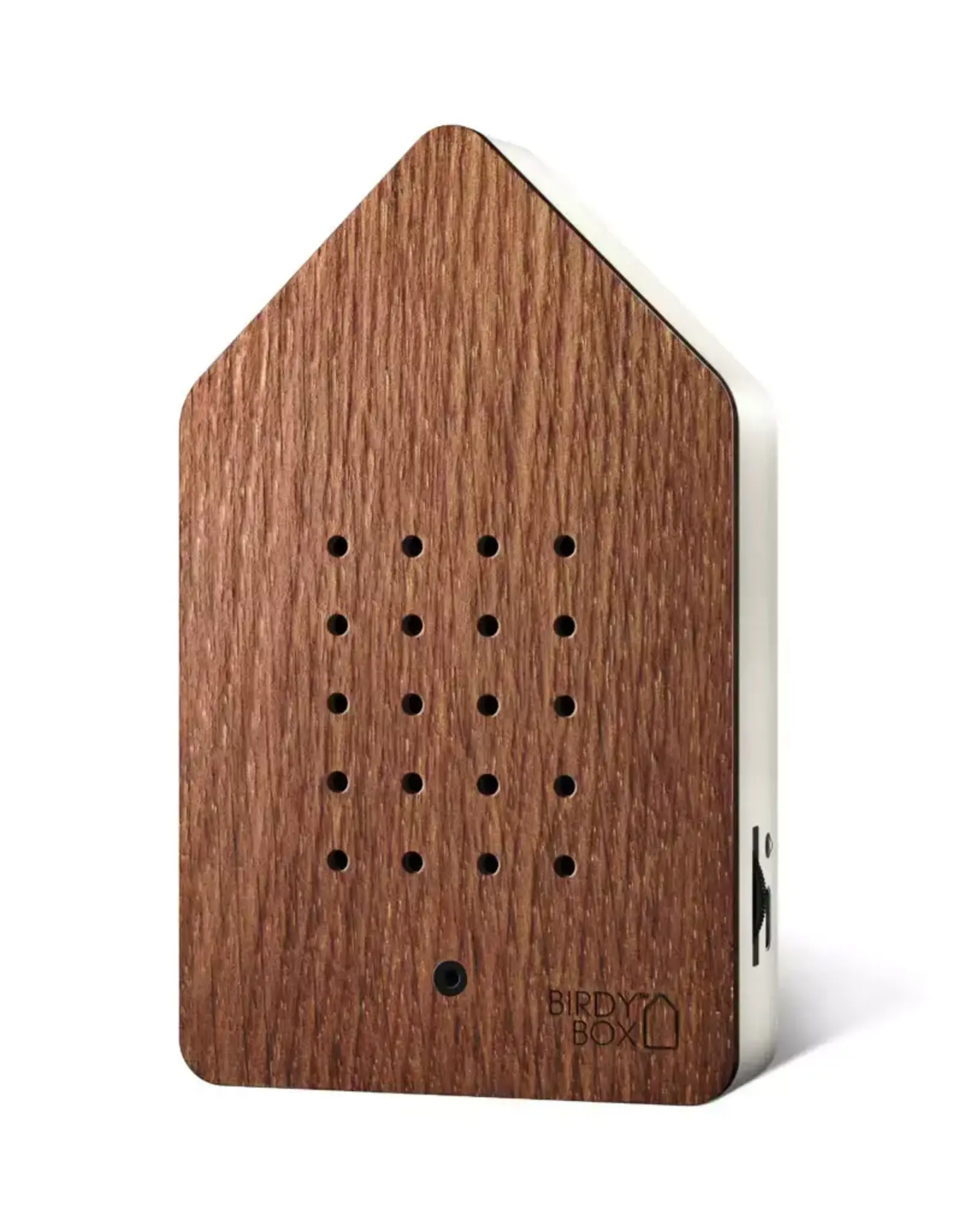 RELAXOUND - Birdybox Steamed Oak