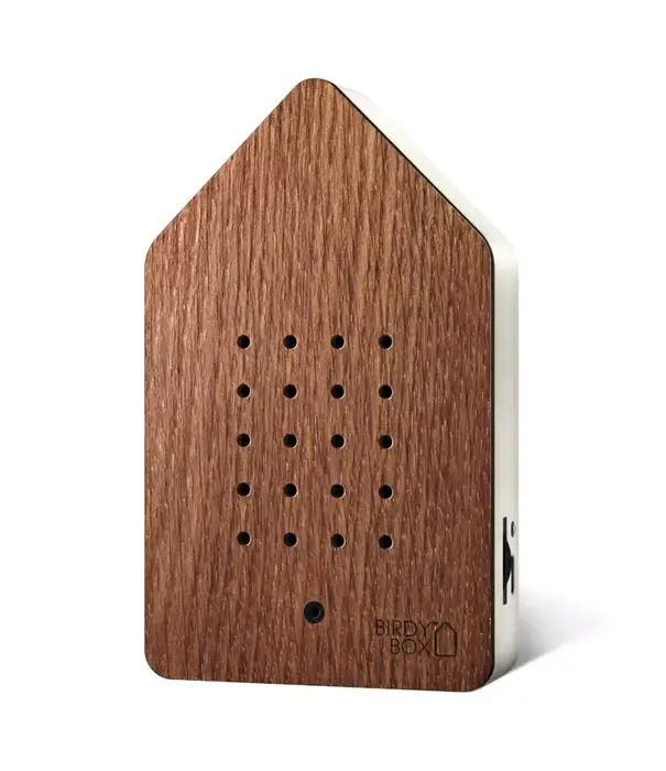 RELAXOUND - Birdybox Steamed Oak