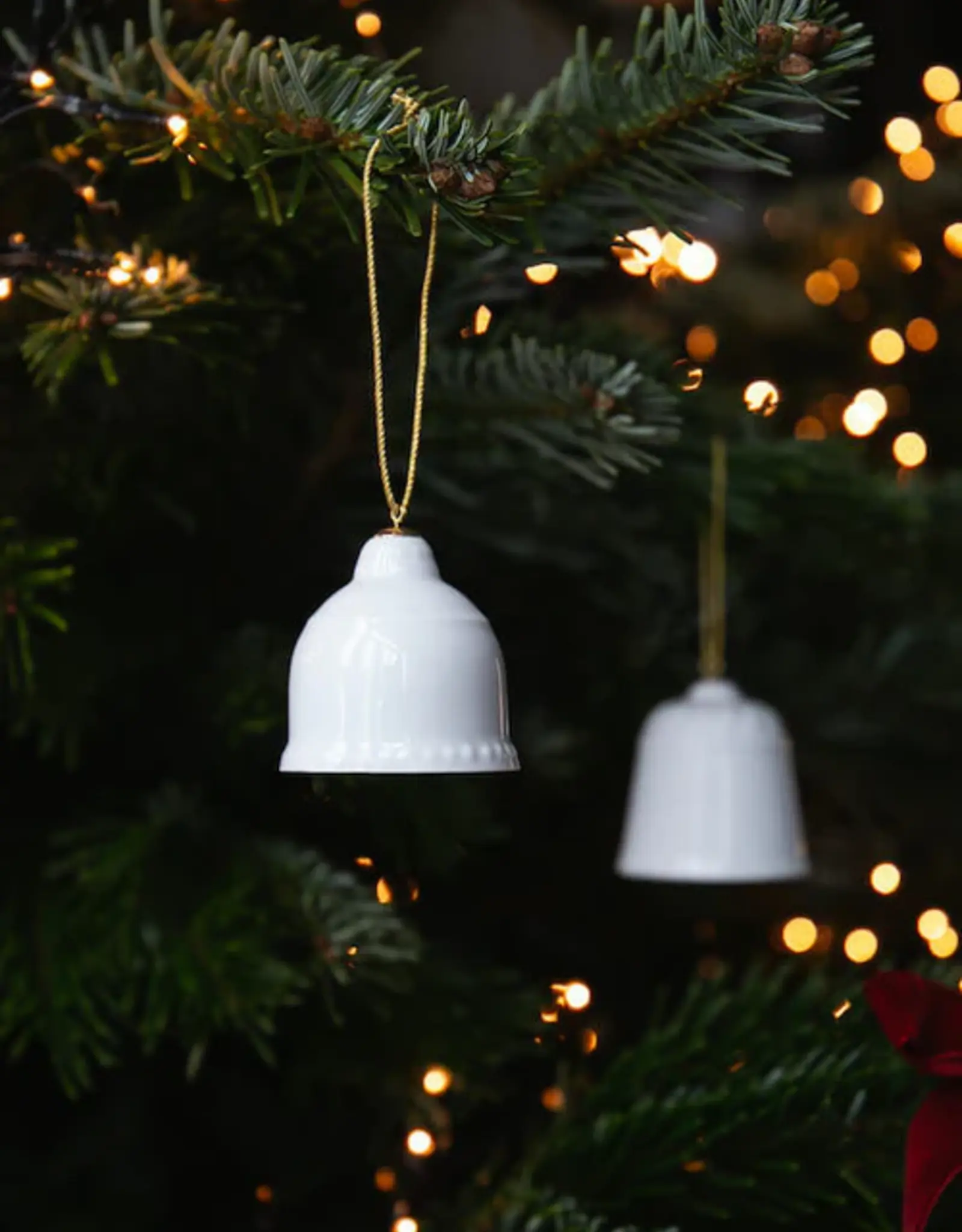 Clochette Alix D.  Reynis